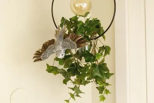 Hotel Pousada Vila Obidos 4*